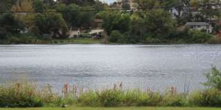 2br/2ba Duplex with Lakeview Gallery 3