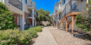 The Berkeley Gallery 1