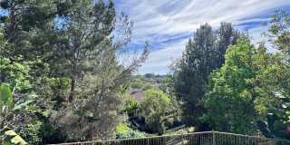 2946 Muir Trail Drive Gallery 9