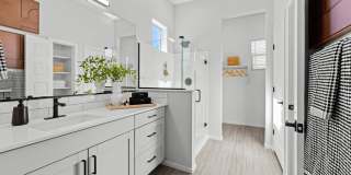 Canopy at Sundance Gallery 47