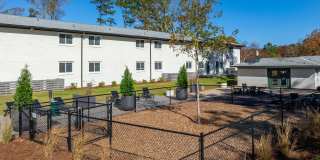 Canopy Gallery 16