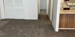 105 Pine Hollow Way Gallery 7