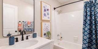 Saddle Ridge Apartments Gallery 6