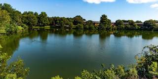 Lakeview Apartments & Townhomes Gallery 24