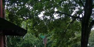 2012 MOUNT ROYAL Gallery 41