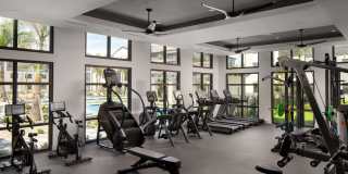 Las Palmas Gallery 10