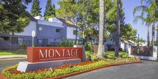 Montage at Fair Oaks Apartments Gallery 49