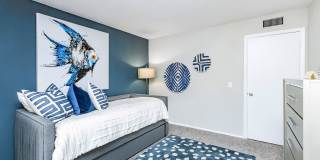 Solana Vista Gallery 45