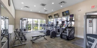 The Isles Gallery 21