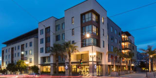 Avalon Ocean Avenue Gallery 25