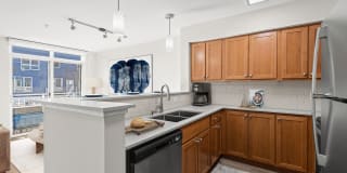 Dexter Lake Union Gallery 10