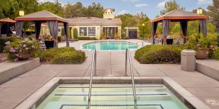 Alta Vista Gallery 13