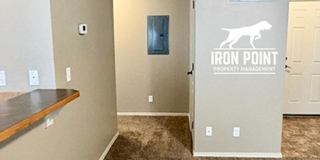 AV16563 Gallery 7
