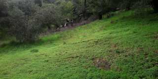 8043 Greenridge Drive Gallery 1