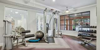 Carrara at Cole Gallery 21