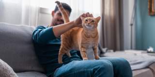 Innsbrook Square Gallery 9