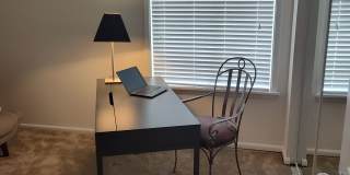 Woods of Castleton Gallery 3