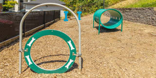 Arbor Heights Gallery 23