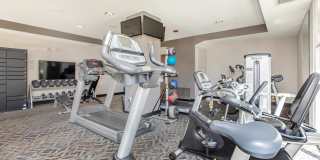 The Village at Town Center Gallery 4