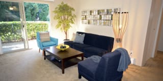 Park at Northgate Apartment Homes Gallery 7