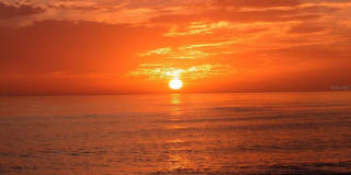 5468 WILKINSON ROAD Gallery 61