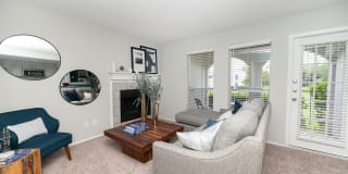 Royal Palms Gallery 8