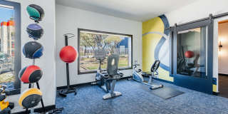 The Jaxon Gallery 14