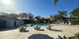 25975 Lugo Drive Gallery 27