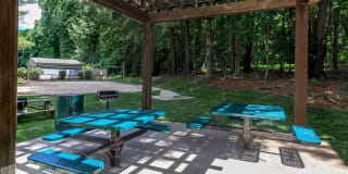 Walden Pond Gallery 10