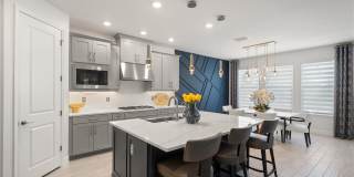 33875 CASTAWAY Loop Gallery 16