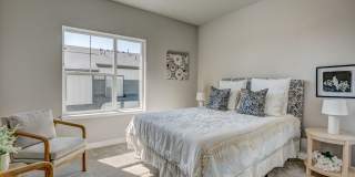 Mangold831 (KC-LN) Gallery 40