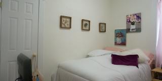 Nice 2 bed in Allston Gallery 8