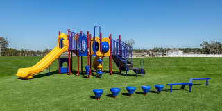 Coral Palms at Oakleaf Gallery 23