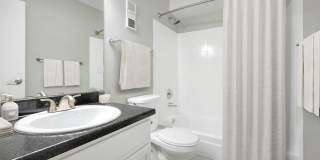 Ascent at Havana Gallery 8