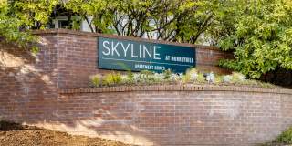 Skyline at Murrayhill Gallery 31