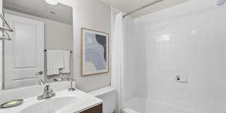 Glenmont Forest Gallery 56