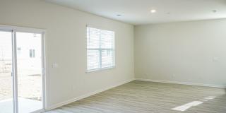 Available Soon! Gallery 16