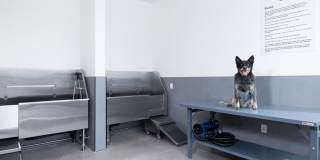 Avalon Pleasanton Gallery 45