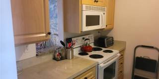 7405 Bay Island Dr S Apt 224 Gallery 15