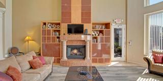 Dobson Towne Centre Gallery 25