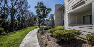 Reidy Creek Apartments Gallery 6