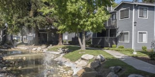 Cypress Creek Gallery 42