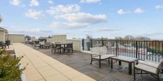 Avalon Maplewood Gallery 21