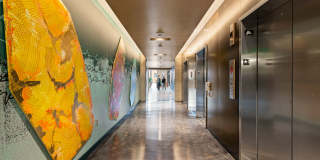 Skyglass Apartments Skyglass Apartments Gallery 33