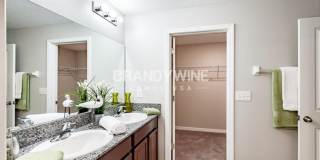 10615 Sweet Sapling Street Gallery 16