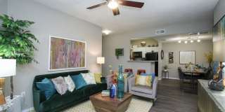 Hollow Tree Park Gallery 12