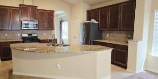 2738 Cinnamon Teal Gallery 8