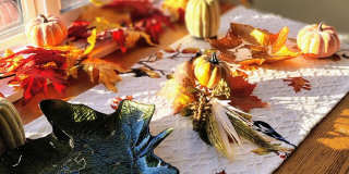 #330 AUTUMN CHASE Gallery 32