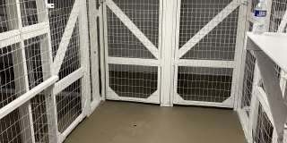 1231 Bardstown Road Gallery 14