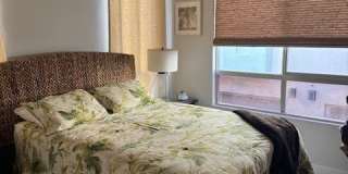 4140 Yucca Bloom Street Gallery 38